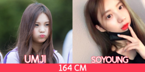 GFriend's Umji - Stellar's Soyoung