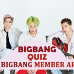Which BigBang Member Are You