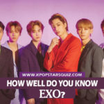 EXO Quiz 2019 - How well do you know EXO?