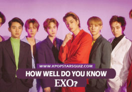 EXO Quiz 2019 - How well do you know EXO?