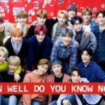 NCT Quiz 2019