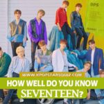 Seventeen Quiz 2019