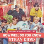 Stray Kids Quiz 2019
