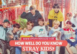 Stray Kids Quiz 2019