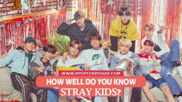 Stray Kids Quiz 2019