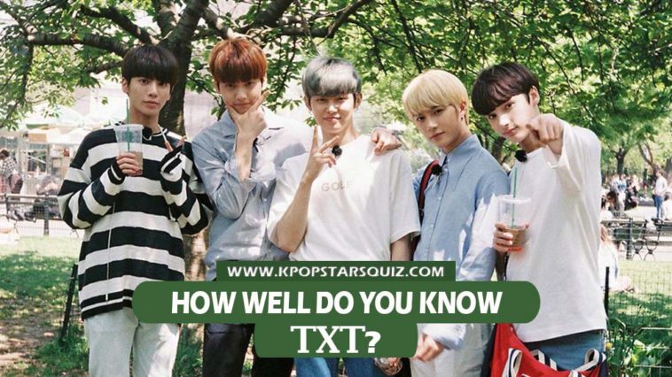 TXT Quiz 2019