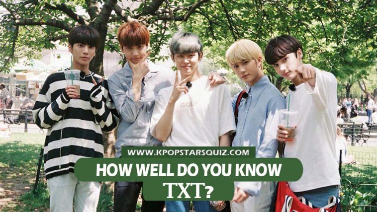 TXT Quiz 2019