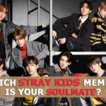Stray Kids Quiz 2020 - Which Stray Kids Member Is Your Soulmate