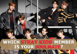 Stray Kids Quiz 2020 - Which Stray Kids Member Is Your Soulmate
