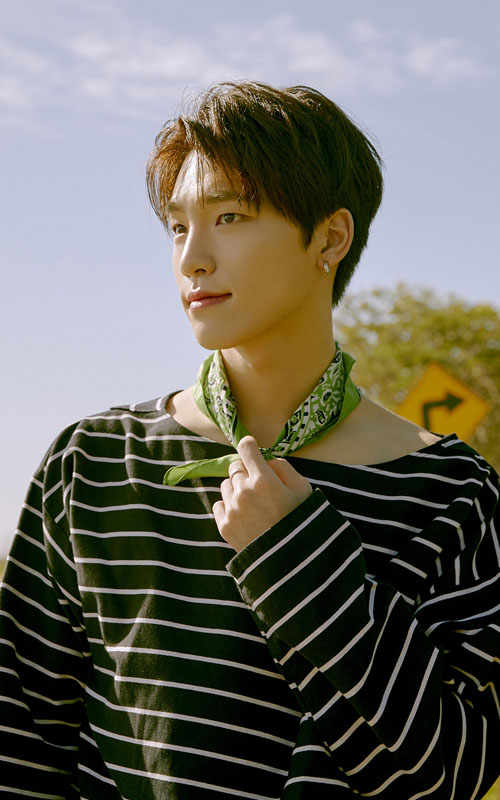 Seventeen Members Profile, Seventeen Ideal Type and 10 Facts You Should Know About Seventeen