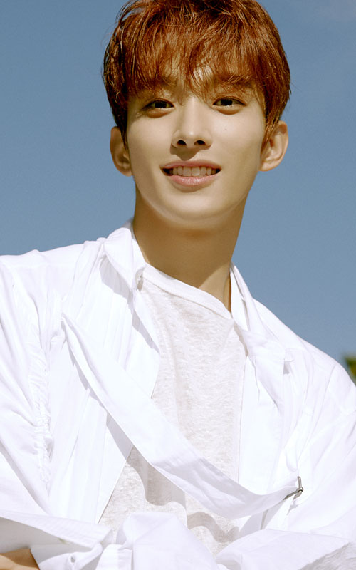 Seventeen Members Profile, Seventeen Ideal Type and 10 Facts You Should Know About Seventeen