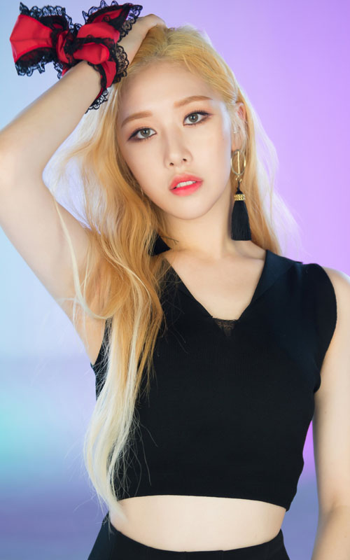 SONAMOO Members Profile, SONAMOO Ideal Type and 5 Facts You Should Know About SONAMOO