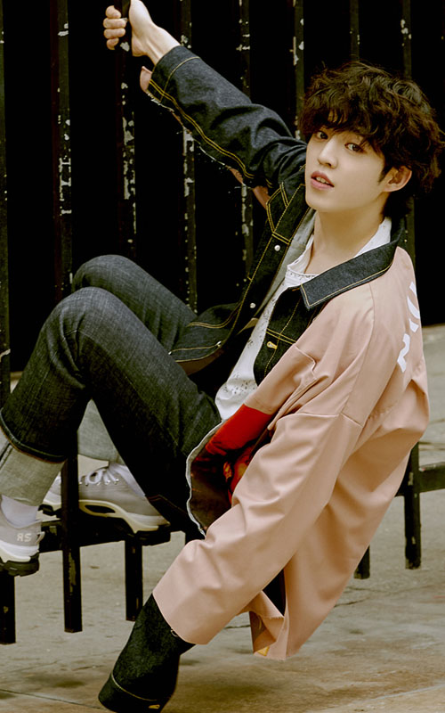 Seventeen Members Profile, Seventeen Ideal Type and 10 Facts You Should Know About Seventeen