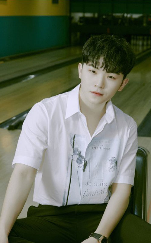 Seventeen Members Profile, Seventeen Ideal Type and 10 Facts You Should Know About Seventeen