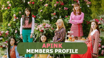 Apink Members Profile, Apink Ideal Type and 10 Facts You Should Know About Apink