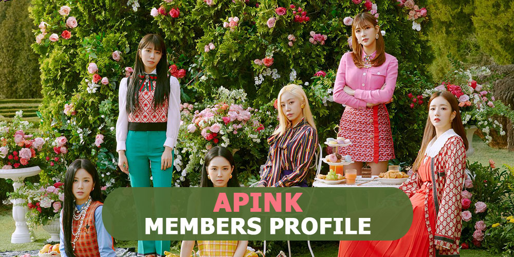 Apink Members Profile, Apink Ideal Type and 10 Facts You Should Know About Apink