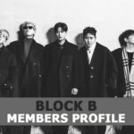 Block B Members Profile, Block B Ideal Type and 7 Facts You Should Know About Block B
