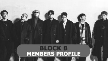 Block B Members Profile, Block B Ideal Type and 7 Facts You Should Know About Block B