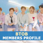 BTOB Members Profile, BTOB Ideal Type and 7 Facts You Should Know About BTOB