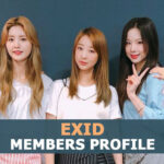 EXID Members Profile, EXID Ideal Type and 10 Facts You Should Know About EXID Members