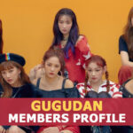 Gugudan Members Profile, Gugudan Ideal Type and 5 Facts You Should Know About Gugudan