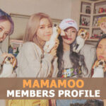 Mamamoo Members Profile And Mamamoo Ideal Type
