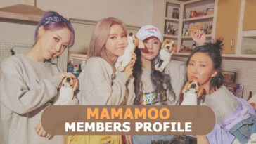 Mamamoo Members Profile And Mamamoo Ideal Type
