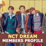 NCT Dream Members Profile And 10 Facts You Should Know About NCT Dream