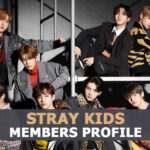 Stray Kids Members Profile, Stray Kids Ideal Type and 10 Facts You Should Know About Stray Kids