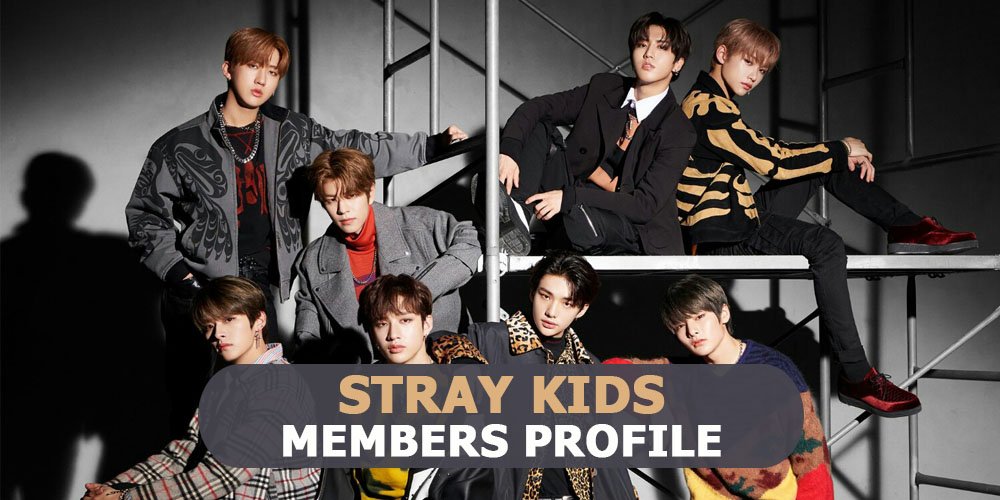 Stray Kids Members Profile, Stray Kids Ideal Type and 10 Facts You Should Know About Stray Kids
