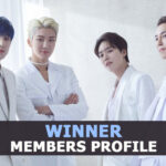 WINNER Members Profile, WINNER Ideal Type and 10 Facts You Should Know About WINNER