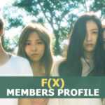 f(x) Members Profile, f(x) Ideal Type and 7 Facts You Should Know About f(x)
