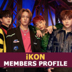 iKON Members Profile, iKON Ideal Type and 10 Facts You Should Know About iKON