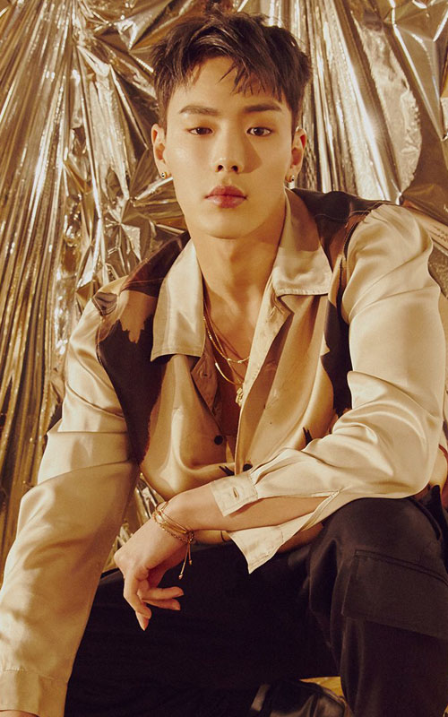 MONSTA X Members Profile, MONSTA X Ideal Type and 10 Facts You Should Know About MONSTA X