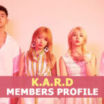 K.A.R.D Members Profile, K.A.R.D Ideal Type and 10 Facts You Should Know About KARD