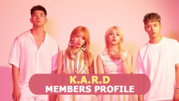K.A.R.D Members Profile, K.A.R.D Ideal Type and 10 Facts You Should Know About KARD