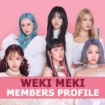 Weki Meki Members Profile and 7 Facts You Should Know About Weki Meki