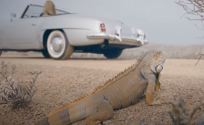 Kpop Quiz Guess MV 2020