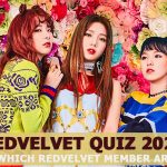 Which redvelvet member are you