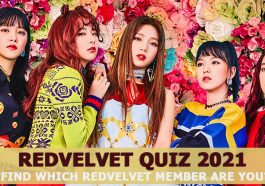 Which redvelvet member are you