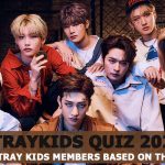 guess stray kids members based on their eyes