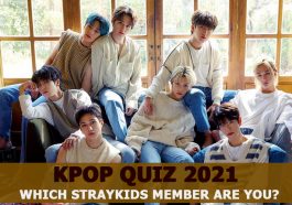 which straykids member are you