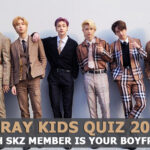 Stray Kids Boyfriend Quiz 2023 - Which SKZ member is your Boyfriend?