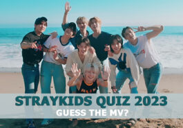 Straykids Quiz 2023-Guess The MV